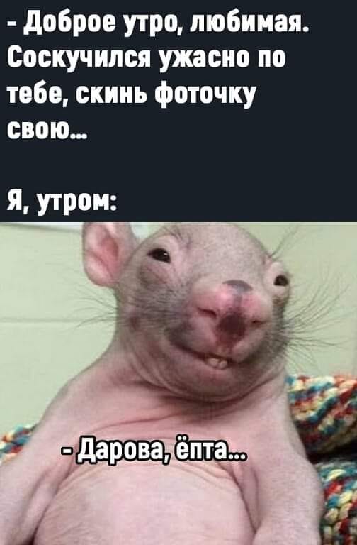 Так себе картинки 04.03.25