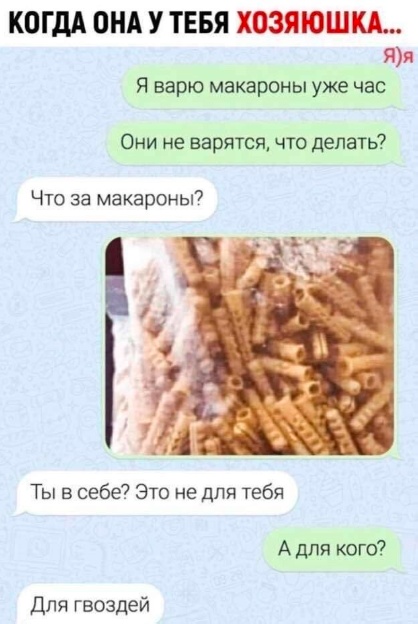 Весёлый полтишок 24.04.25
