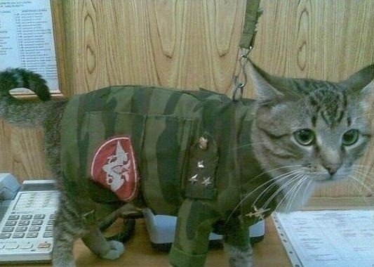 Делал потягушки и заснул
