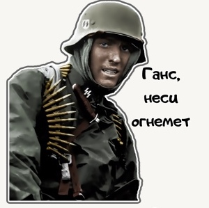 Устранение осиного гнезда