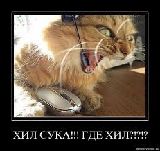 Ну ты нуб!