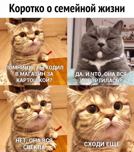Картинки для деградации 136 (разной степени свежести