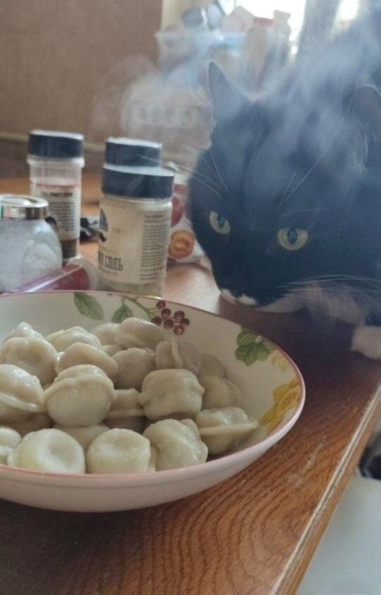 Картинки на 27.02.2026