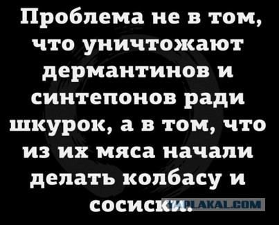 Субботние картинки