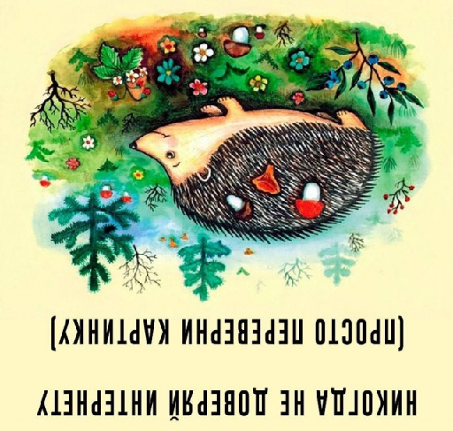 Среды картинки