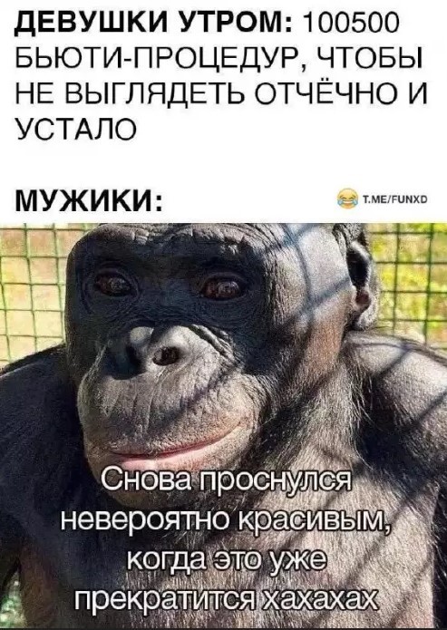 Картиночки, баянчики 21 апреля