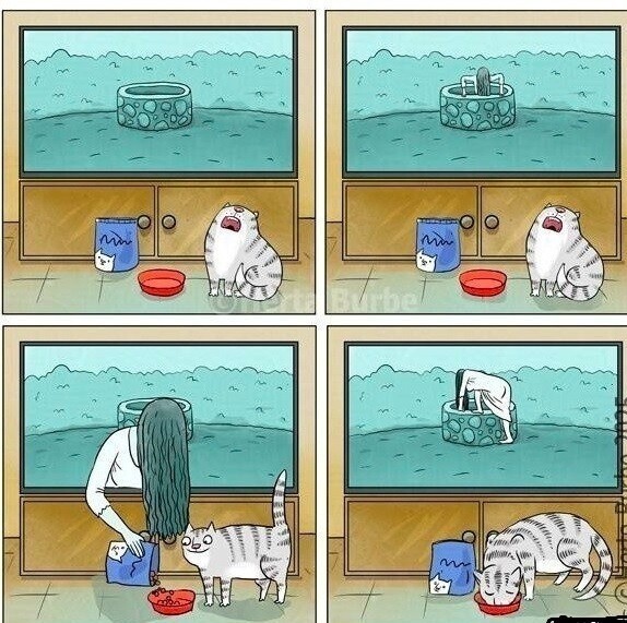 котовторник. котовторник же?