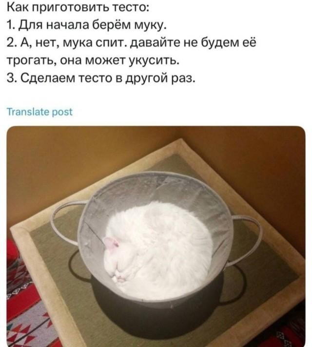 Воскресные картинки
