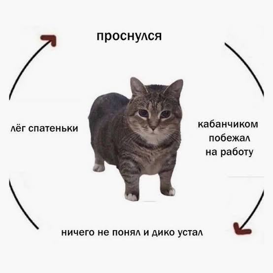 Есть мысли?