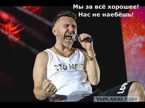 Самозанятые массово игнорируют добровольные взносы на пенсию и больничные