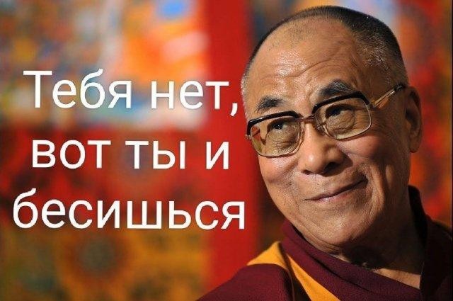 Картинки для деградации 308 (разной степени свежести)