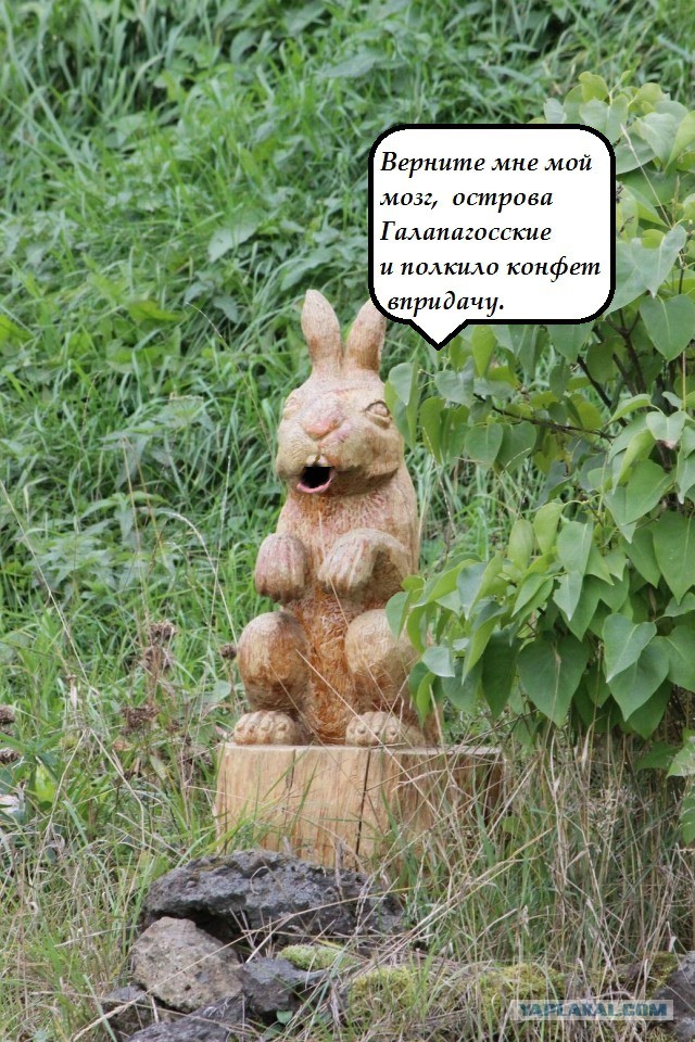Скучная рабочая командировка превращается....