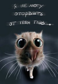 Медведев на закрытии