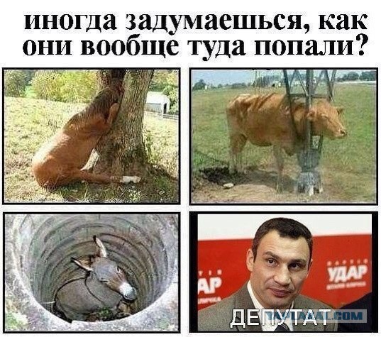 Кличко: Мы хотим цивилизованных