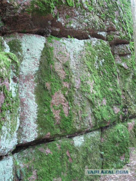 В Египте открыли некрополь Серапеум