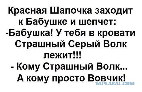 Смешные комментарии из социальных сетей 11.11.2014