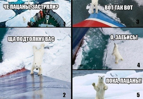 Весёлые картинки