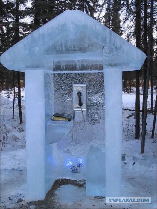 Весёлое из сети
