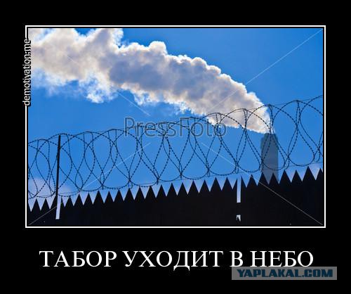Очередной беспредел "Ромов" в нашем городе