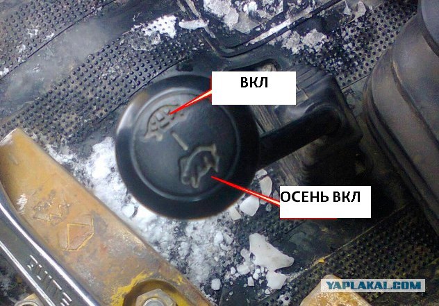Был у меня Китаец