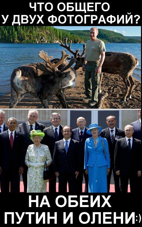 Путин и олени.