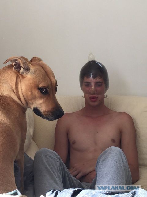 Приколы из соцсетей