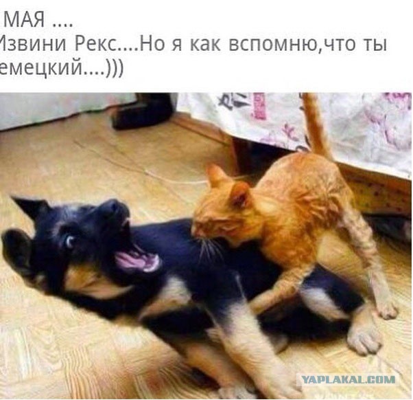 Картинки разные