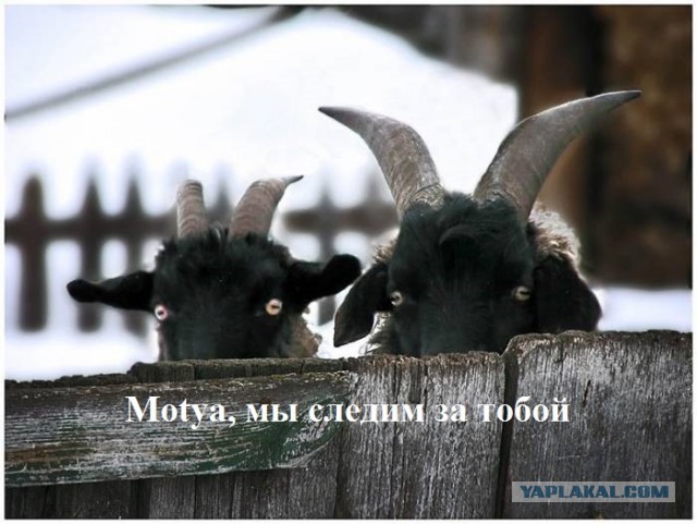 7 случаев увольнений из-за глупости в соцсетях