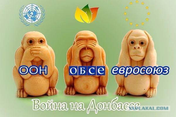 Перемирие кончилось, едва начавшись. Часть 9