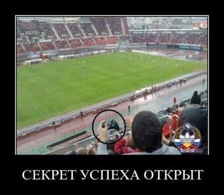Подборка картинок