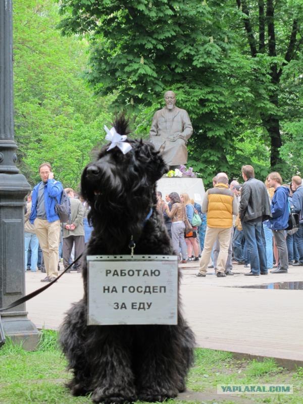 В Москве проходит "контрольная" прогулка