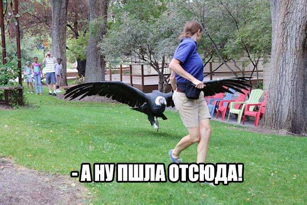 Позитив на воскресенье