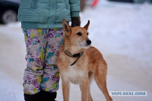 Куда податься?