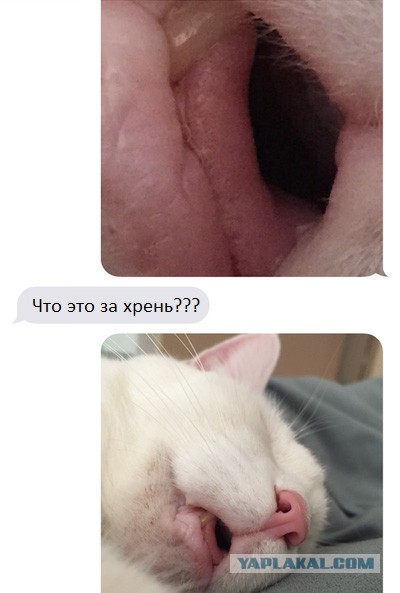 Абсурдный юмор ч.7