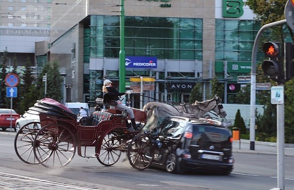 Воскресная подборка картинок