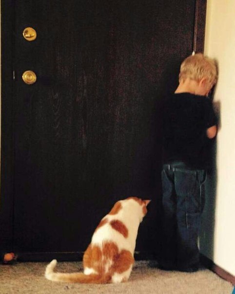 Подборка картинок на среду