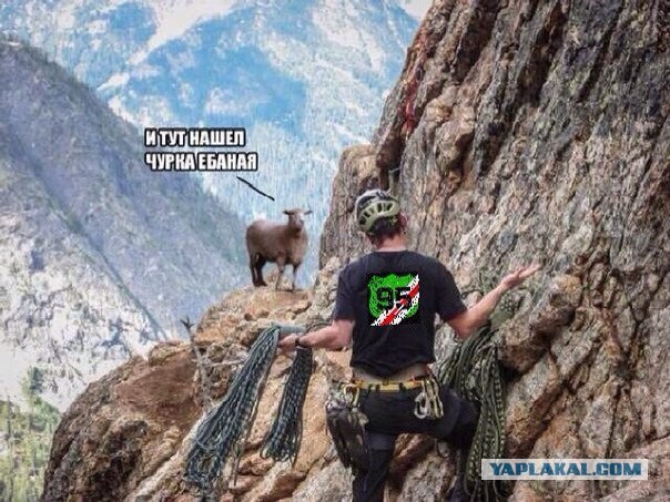 Коломна. Лицо и изнанка праздника