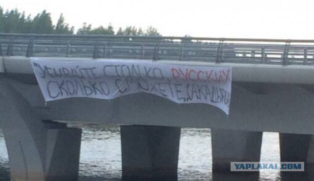 Охрана Будановского моста в Питере