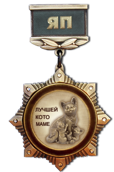 Жизнь домашнего приюта для котеек 122