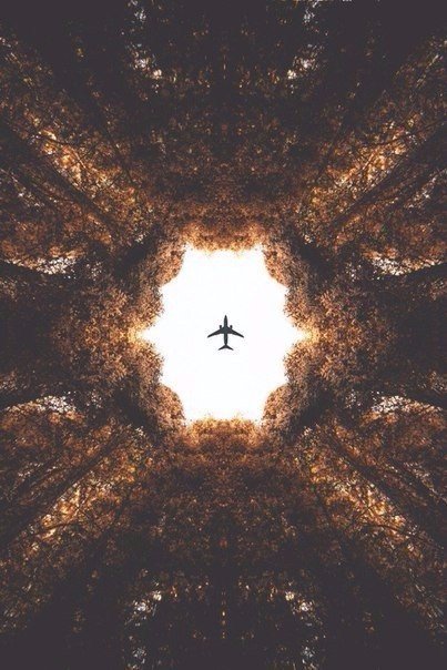 Подборка картинок
