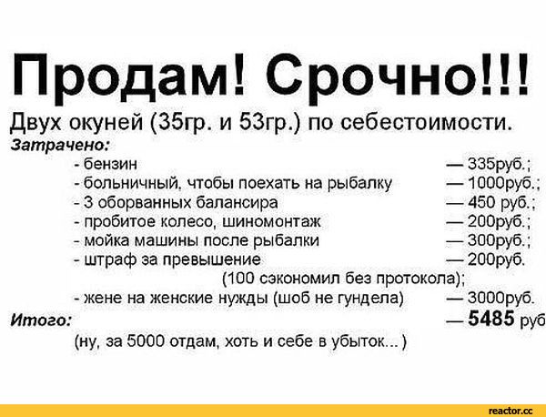 «Может им сразу гири с верёвками давать»: глава Балаково возмутился любителями зимней рыбалки