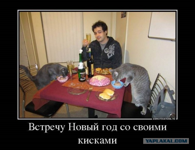 Недавно разведён