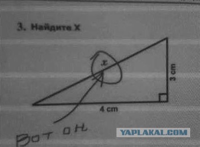 14 детей, которые воспринимают все как-то слишком буквально