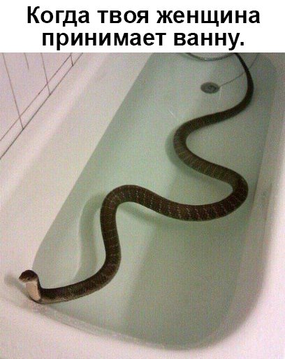 Подборка картинок
