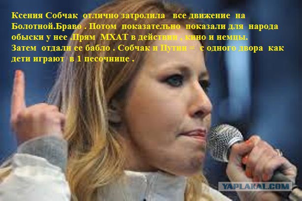 Марш Тунеядцев. Что дальше? Программа тунеядцев