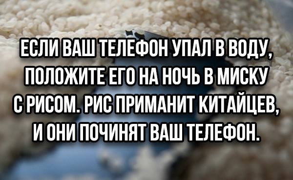 Смешные комментарии из социальных сетей 18.08.2017
