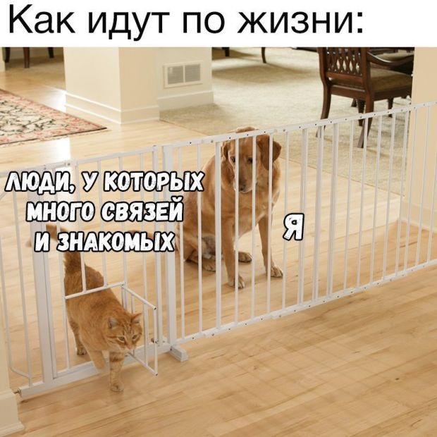 Подборка интересных и веселых картинок