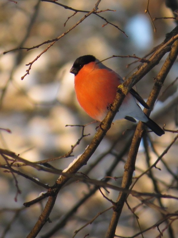 Подборка интересных и веселых картинок