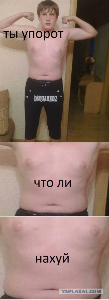 Да ты упоротый!