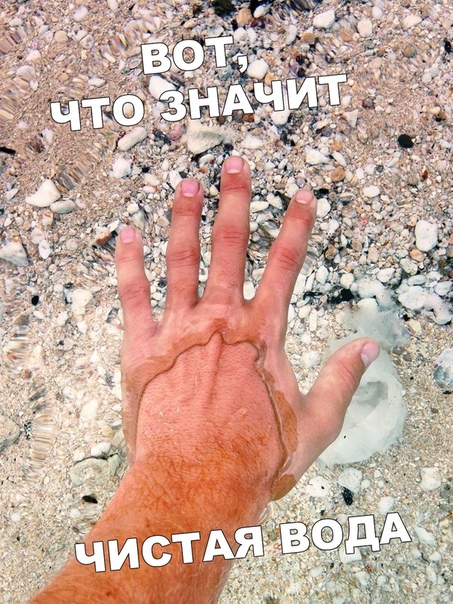 Подборка так себе картинок